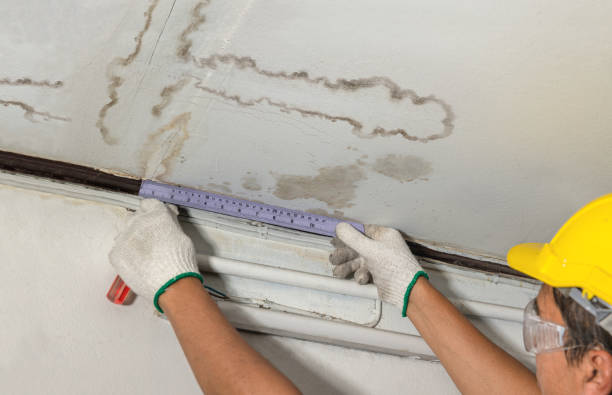 Reliable Water Damage contractor in Johnston, SC by Water Damage Irwin